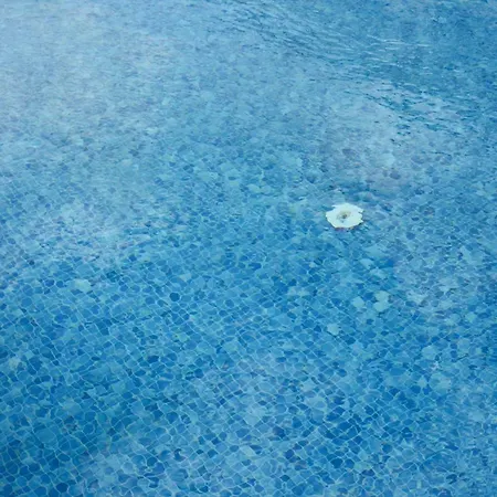 Kadak Garden Hotel 2*