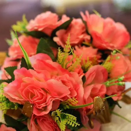 Hotel Kadak Garden Istanbul